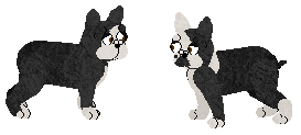 BOST.png