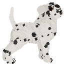 DALPUPblk.png