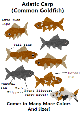 Goldfish2.png