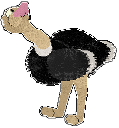 Ostrich1.png