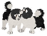 pupps.png