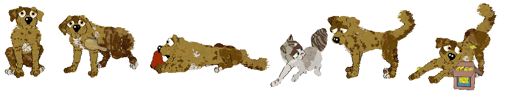 Bronze Pet Citizen cat task examples