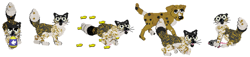 Gold Pet Citizen dog task examples