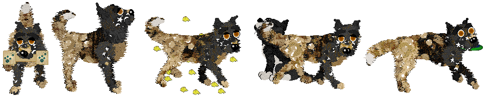 Gold Pet Citizen cat task examples