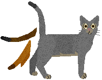 Abyssinian - Supernova V1