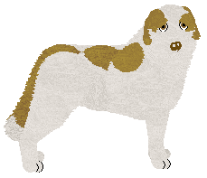 Aidi - PDH's Resources