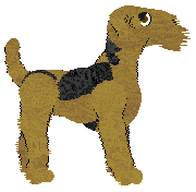 Airedale Terrier - Abnormality V1