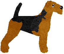 Airedale Terrier - Abnormality V2