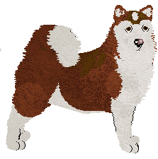 Alaskan Malamute - Abnormality V2