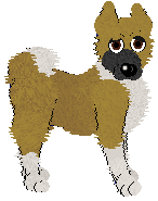 American Akita - Faerie Barn Dance