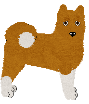 American Akita - Pheonix Blaze