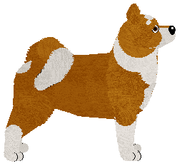 American Akita - Abnormality V2