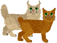 American Bobtail - VPZ