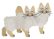 American Bobtail - Zodiac