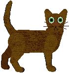 American Havana Brown - Supernova V1