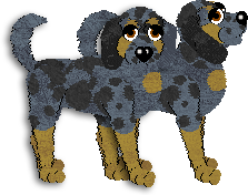 American Leopard Hound - Celia @ Filthy Hippie