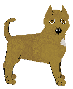 American Staffordshire Terrier - Petz Showmania