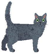 American Wirehair - Supernova V2