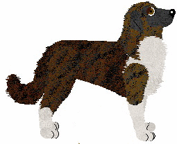 Anatolian Shepherd Dog - Petz Underground