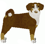 Appenzell Mountain Dog - Bramblewood