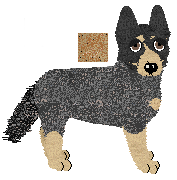 Australian Cattle Dog - Finishing Touch V1