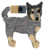 Australian Cattle Dog - Paranoia V1