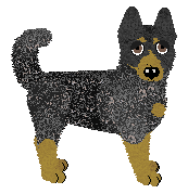 Australian Cattle Dog - Finishing Touch V2