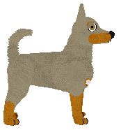 Australian Kelpie - LightningStrike