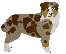 Australian Shepherd - Abnormality (Lotus) (Modified)
