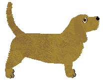 Basset Fauve de Bretagne - Genuine Kennels