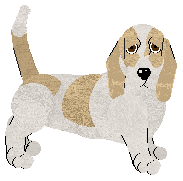 Basset Hound - Abnormality V1