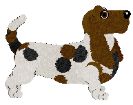 Basset Hound - Faerie Barn Dance