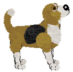 Beagle - Faerie Barn Dance