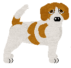 Beagle - Finishing Touch