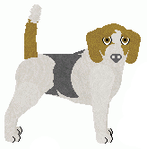 Beagle - Bramblewood