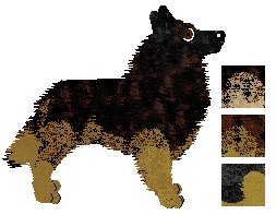 Belgian Shepherd - Cheetah Kennelz (Tervueren)