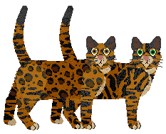 Bengal - Supernova V1