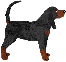 Black and Tan Coonhound - Nimh