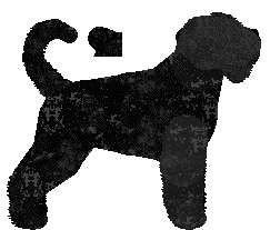 Black Russian Terrier - Zodiac/Java V3