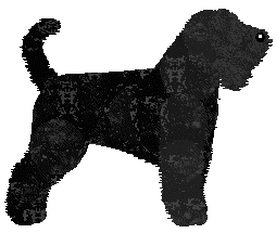 Black Russian Terrier - Zodiac/Java V2