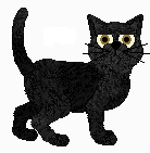 Bombay - A Petz Site