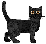 Bombay - Pirate Cove Catteries V1