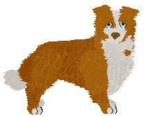 Border Collie - PDH's Resources V3 (Updated)