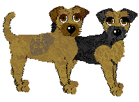 Border Terrier - Faerie Barn Dance