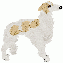 Borzoi - Cheetah Kennels