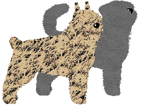 Bouvier des Flandres - Zodiac