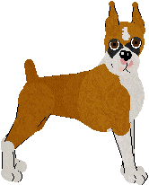 Boxer - Abnormality (Cropped)