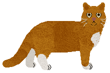 British Shorthair - Grand Theft