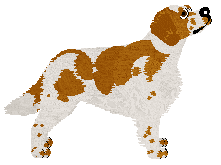 Brittany - Providence