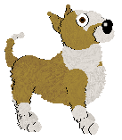Bull Terrier - Worwood